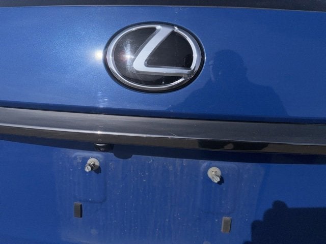 2021 Lexus RX RX 350 F SPORT Appearance